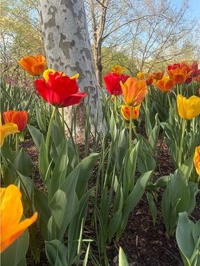 MOVING SALE! Motivated seller!!!